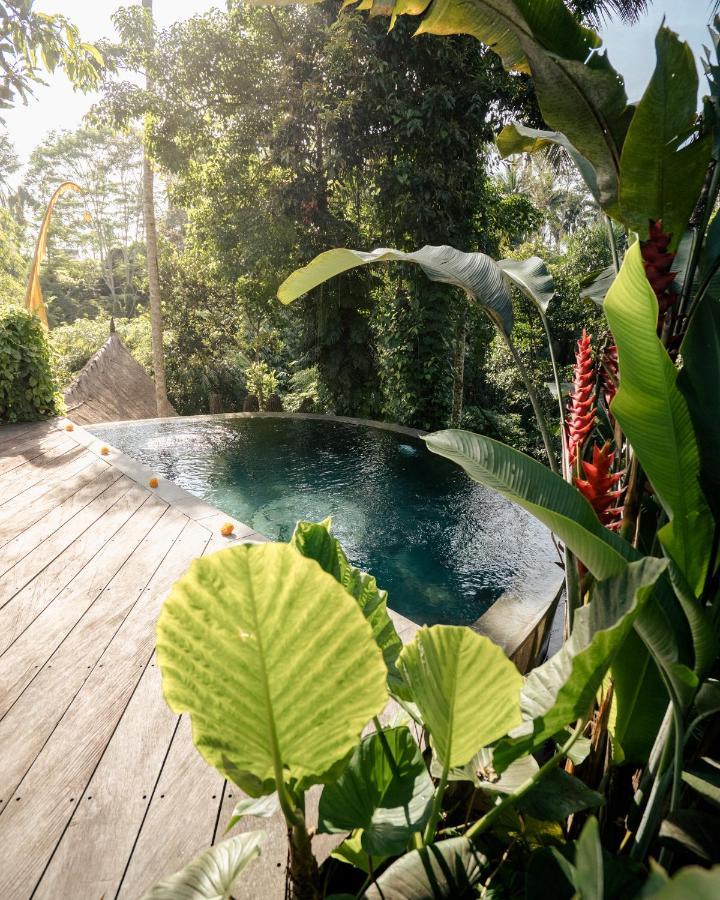 Hotel Basundari Retreat Ubud Exterior foto